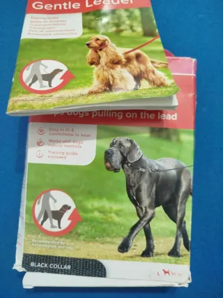 Lote Accesorios Perro Talla S y M