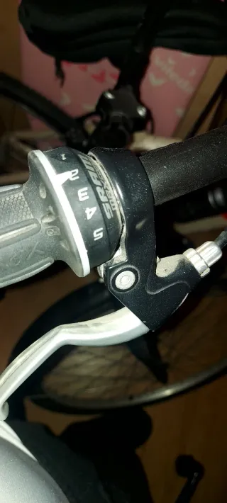 Bicicleta Holandesa Clásica