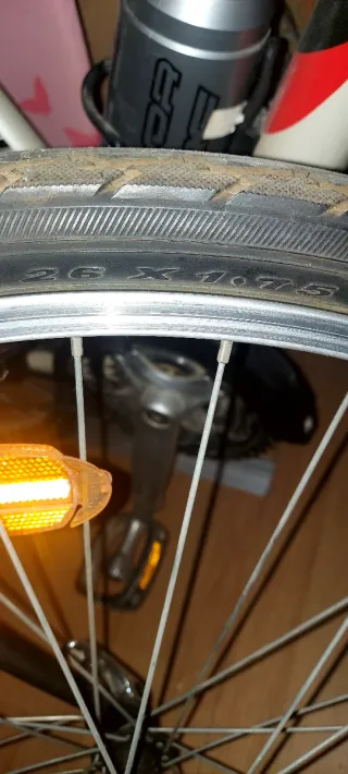 Bicicleta Holandesa Clásica