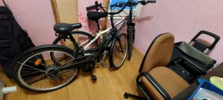 Bicicleta Holandesa Clásica