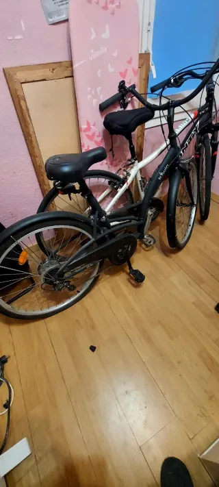 Bicicleta Holandesa Clásica