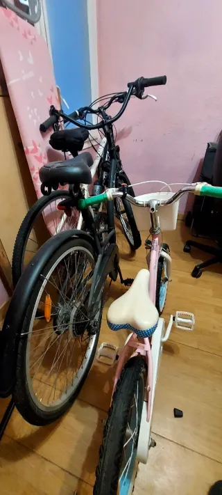 Bicicleta Holandesa Clásica