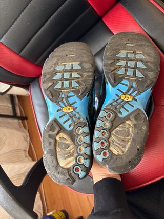 Nike Air Max Plus TN Zapatillas