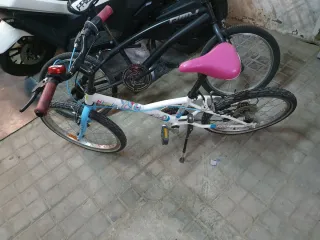 Bicicleta de niño niña
