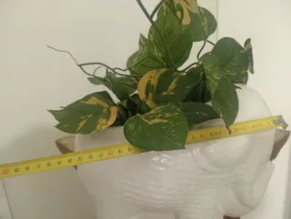 Maceta Blanca Elefante Cerámica