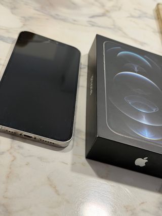 iPhone 12 Pro Max Argento 128GB