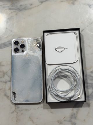 iPhone 12 Pro Max Argento 128GB