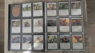 Álbum Cartas Magic The Gathering
