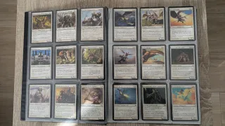 Álbum Cartas Magic The Gathering