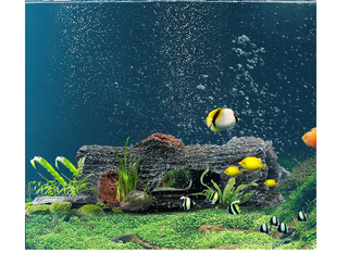 Grotta acquario effetto legno 10 cm