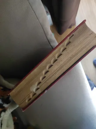 Webster's new collegiate dictionary