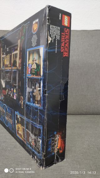 Lego Stranger Things 75810