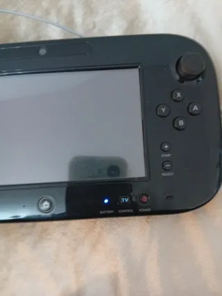 Nintendo Wii U GamePad.