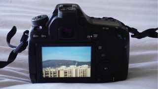 Cuerpo cámara Canon EOS 80D + 50mm f/1.8