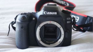 Cuerpo cámara Canon EOS 80D + 50mm f/1.8