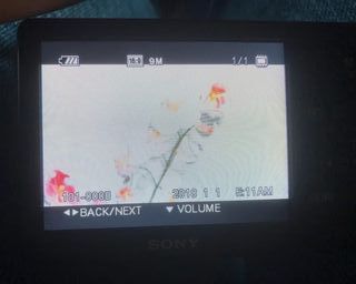 Cámara Sony DSC-W310 (¡¡OJO LEER!!)