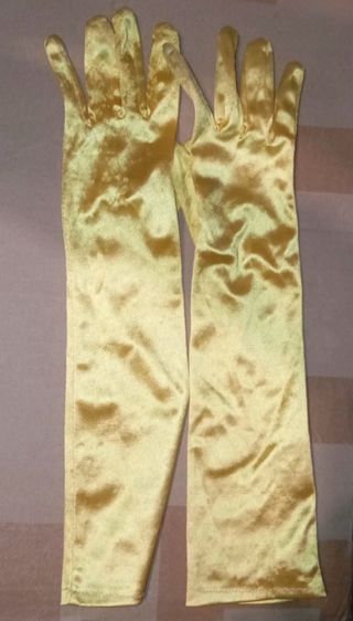 Disfraz Bella y Bestia