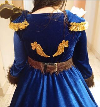 Disfraz Bella y Bestia