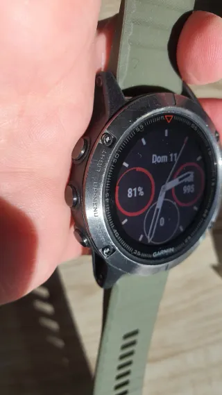 Reloj Garmin Fenix 5 Negro/Verde
