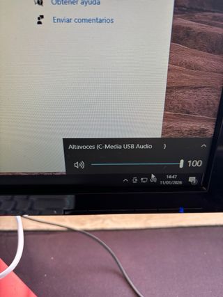 Altavoces Prinston USB Negros