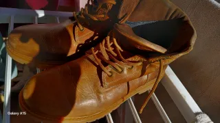 Botas Panamá Jack Marrones