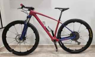 Bicicleta S-Works Carbono 29