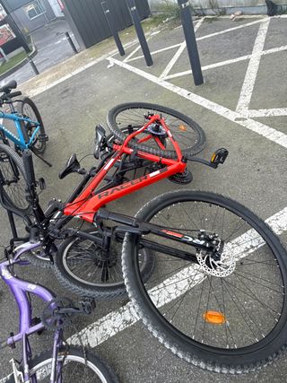 Bicicleta Roja y Morada