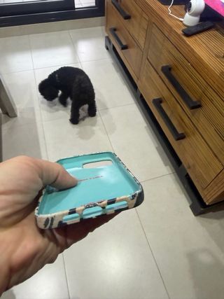 Funda iPhone 14 Pro Max BIMBAYLOLA