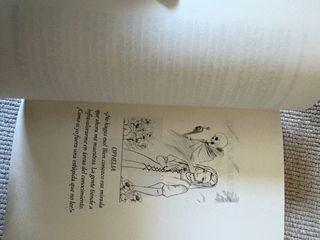 La Divinidad Perdida: canto primero — Novela de...