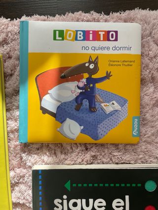 Lote 5 Libros Infantiles (1-3 años) + Juguetes