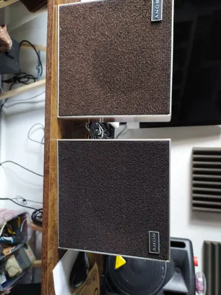 Altoparlanti Sony Marroni e Neri