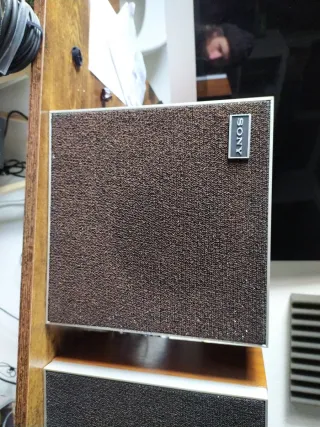 Altoparlanti Sony Marroni e Neri