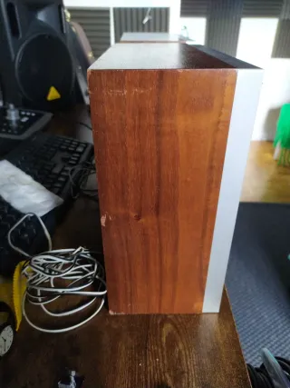 Altoparlanti Sony Marroni e Neri