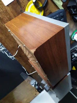 Altoparlanti Sony Marroni e Neri