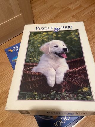 Puzzle 1000 piezas cachorro perro
