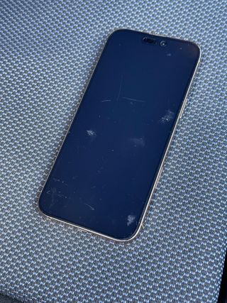 iPhone 16 Pro Max 256 GB Plata · 95% batería