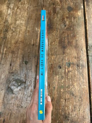 Mi libro de manualidades Ed. Susaeta nuevo