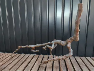 Raíz/tronco XL Decoración acuario OFERTA SOLO HOY!