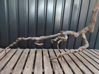 Raíz/tronco XL Decoración acuario OFERTA SOLO HOY!