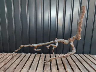 Raíz/tronco XL Decoración acuario OFERTA SOLO HOY!