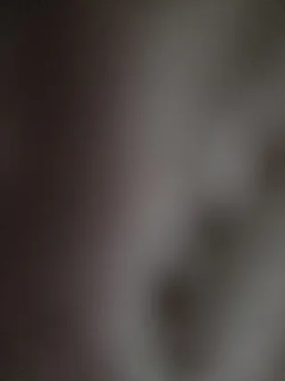 Adrenalyn 2025-2026.