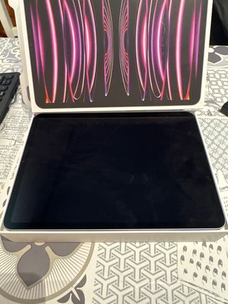 iPad Pro 11 M2 256GB Plata Caja con Cargador