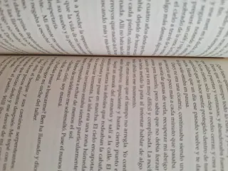 La fragilidad de un corazón bajo la lluvia