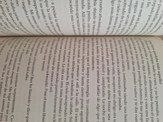 La fragilidad de un corazón bajo la lluvia