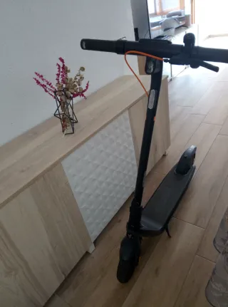 Patinete Eléctrico Ninebot E2 Pro