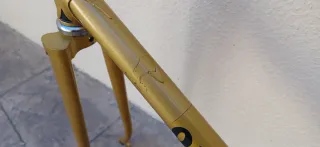 Cuadro Orbea T53 Dorado