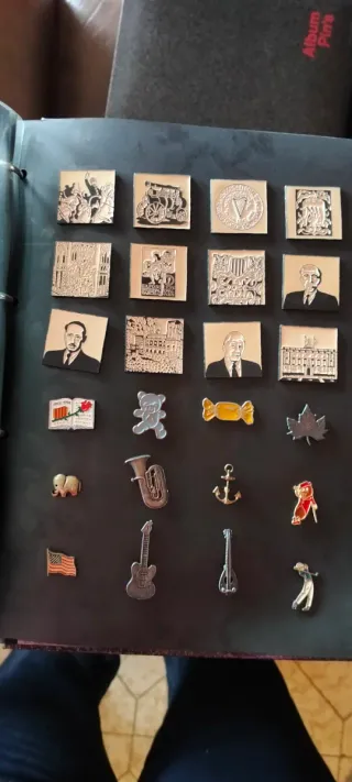 Álbum de pins coleccionables - 96 pines