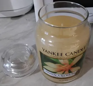 Yankee Candle Champaca Blossom