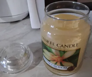 Yankee Candle Champaca Blossom