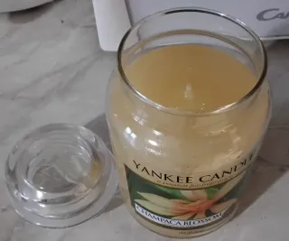 Yankee Candle Champaca Blossom